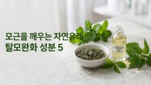 모근 강화에 도움을 주는 대표적인 자연 유래 탈모 완화 성분 상세 이미지