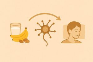 숙면에 좋은 영양소 작용 흐름 인포그래픽