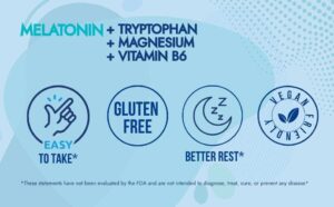 저녁 식사 분석 수면 영양 흐름