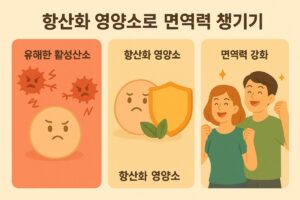 항산화가 필요한 진짜 이유 – 활성산소, 제대로 아시나요 본문 이미지