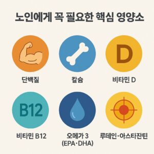 노인용 영양제 고르는 법 – 실버세대를 위한 필수 보충제 가이드 본문 이미지