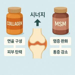 콜라겐과 MSM, 함께 복용해도 될까 효과 정리 본문 이미지