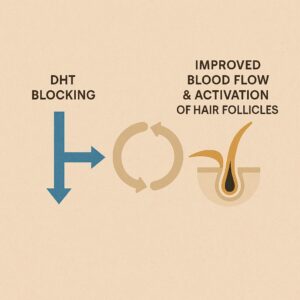 탈모 치료 성분 피나스테리드 미녹시딜 작용 인포그래픽
