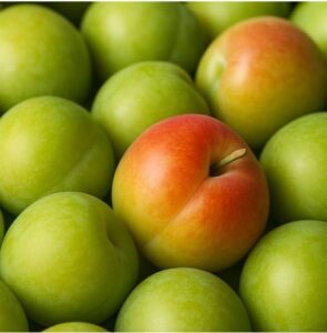 매실의 효능 – 피로 회복과 간 해독에 좋은 여름 과일 본문 이미지