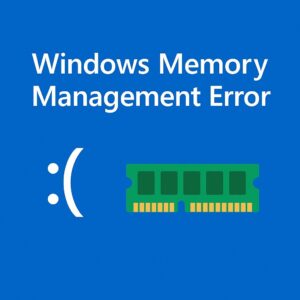 Windows 메모리 관리 에러