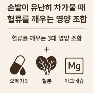 손발이 차가울 때 혈류 개선에 도움 되는 식단 – 오메가3, 시금치, 호두, 따뜻한 허브차