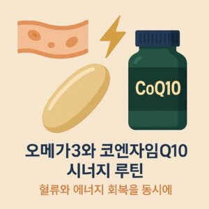 오메가3 코엔자임Q10 시너지 루틴, 혈류 개선 에너지 회복