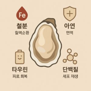 굴 효능 영양 구성 인포그래픽, 철분 아연 타우린 단백질