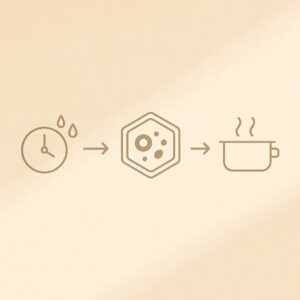 냉동 채소 영양 보존 인포그래픽