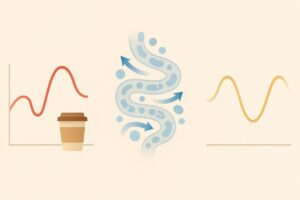 피로 회복 유산균 장내 에너지 순환 인포그래픽