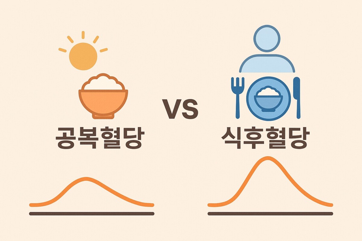 공복혈당 vs 식후혈당 대표 이미지