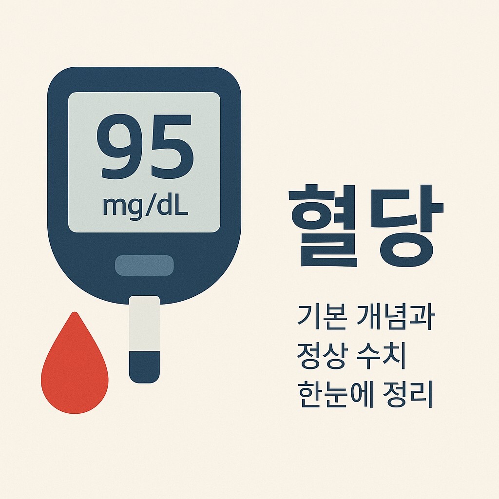 혈당이란 무엇인가요 – 기본 개념과 정상 수치 한눈에 정리 대표 이미지
