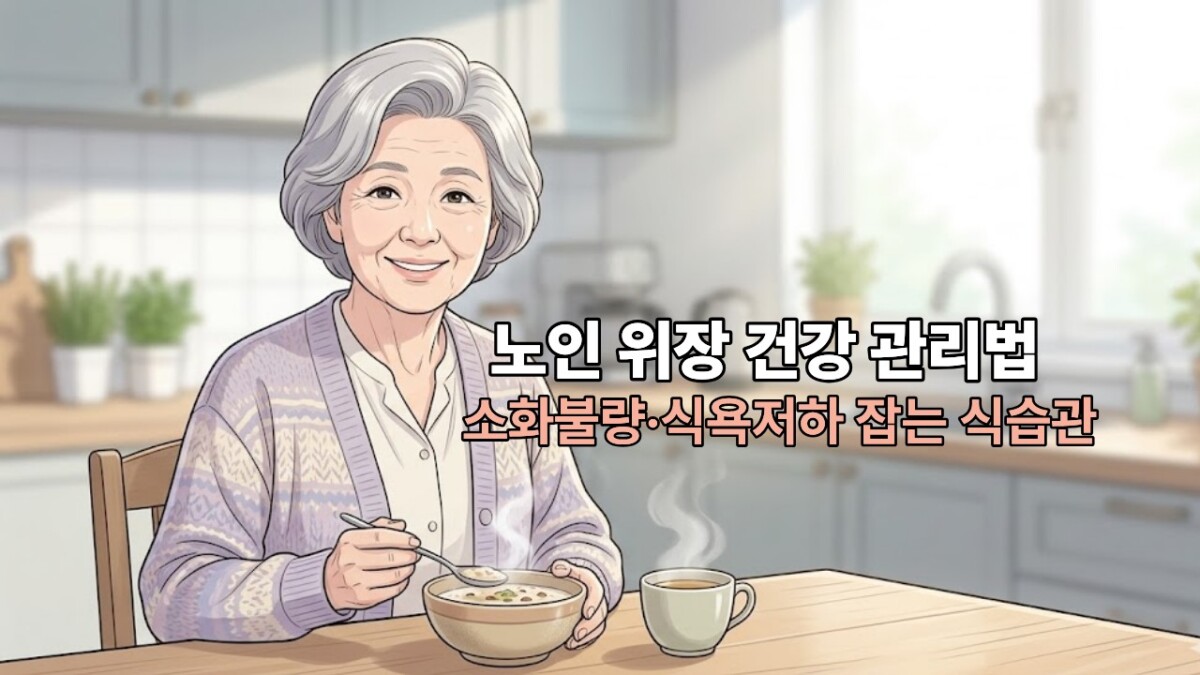 노인 위장 건강 관리법 소화불량 식욕저하 잡는 식습관 썸네일