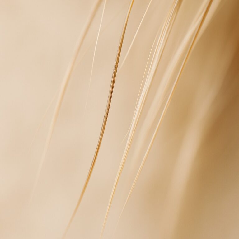 두피 열이 반복되면 모발 굵기가 변하는 과정을 표현한 이미지