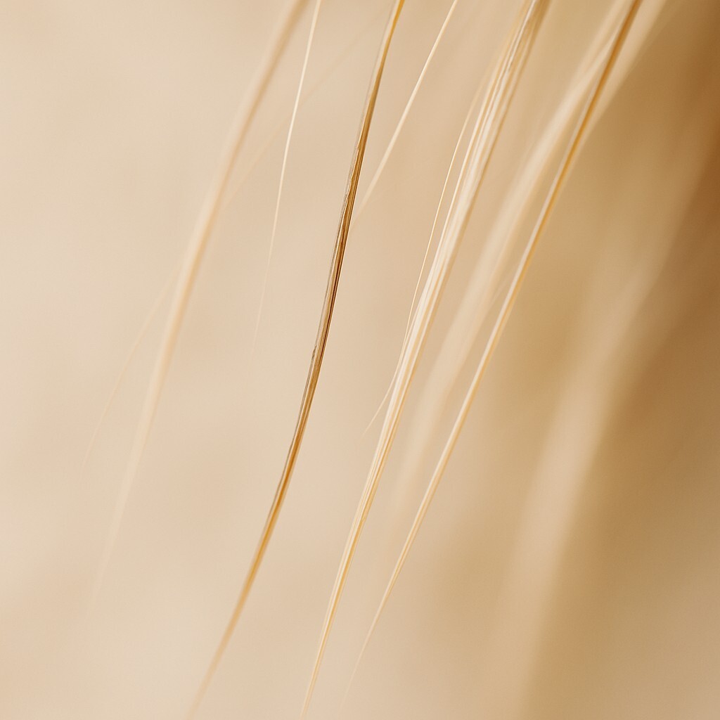 두피 열이 반복되면 모발 굵기가 변하는 과정을 표현한 이미지