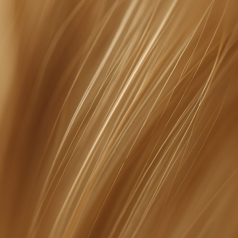 머리카락 빠지기 전 변화가 두께에 먼저 나타나는 모습