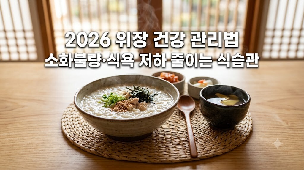 2026년 노인 위장 건강 관리법과 소화불량 완화를 위한 따뜻한 죽 식단