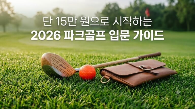 파크골프 입문 비용 절약을 위한 공인 클럽 및 공 세트